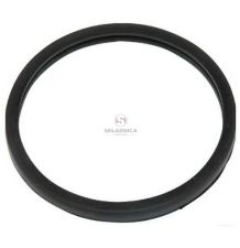 ORING TERMOSTATU [CXI570]
