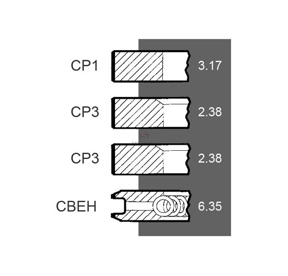 KPL. PIERŚCIENI TŁOK.  98,48   3P [CXP029]