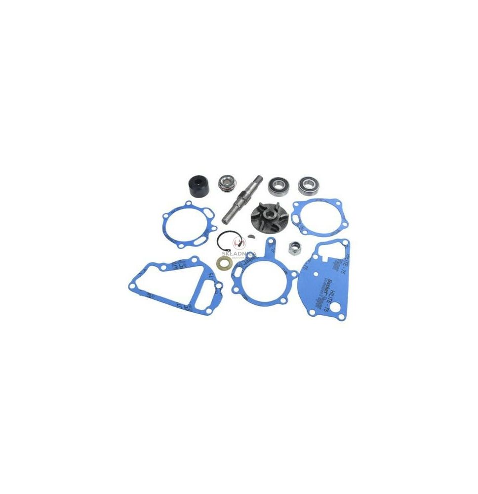 ZESTAW NAPRAWCZY POMPY WODY  MF  A4.236 [CXP541]