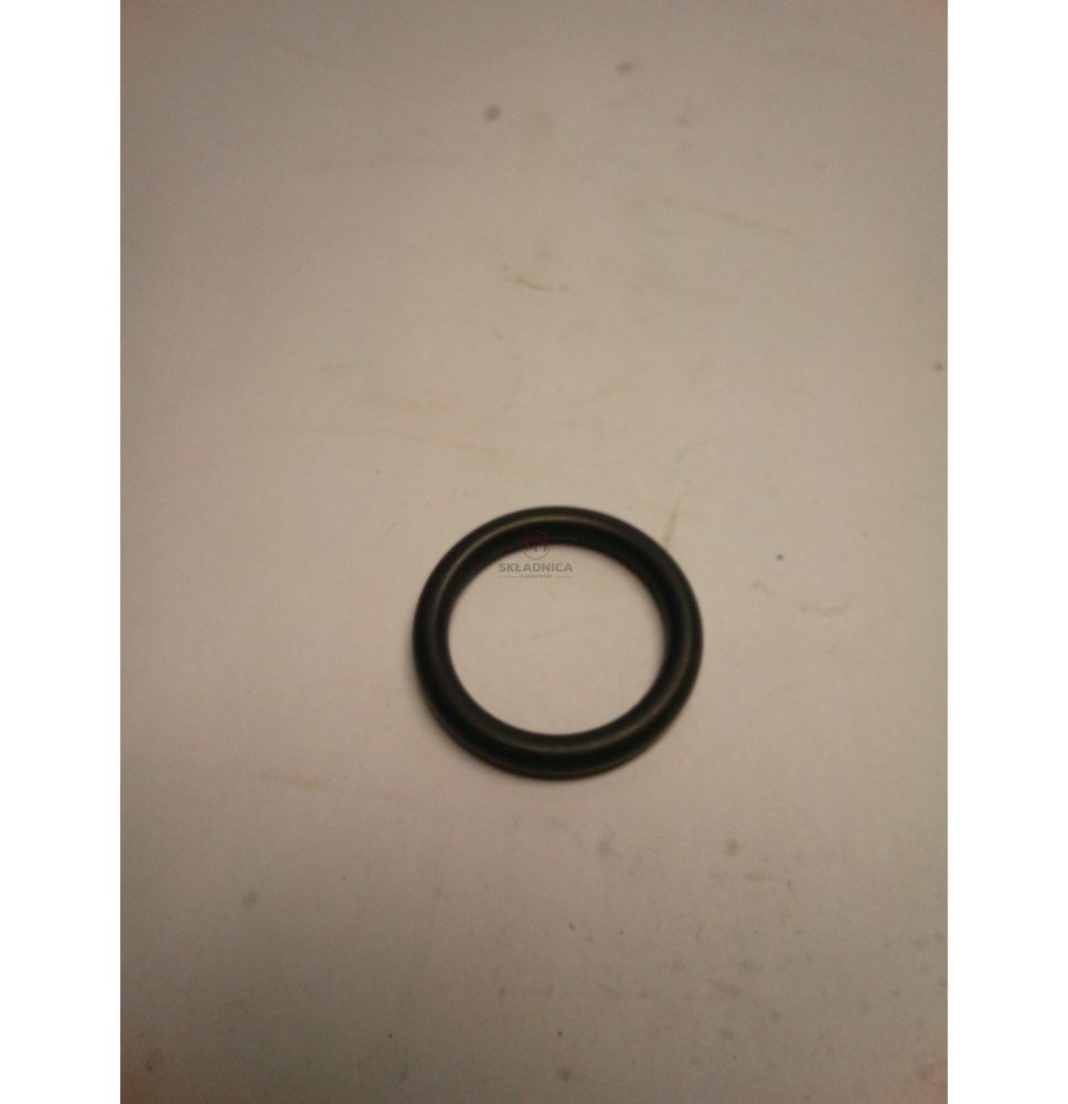 ORING ŁĄCZNIKA POMPY [CXS519]