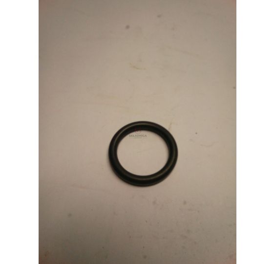 ORING ŁĄCZNIKA POMPY [CXS519]