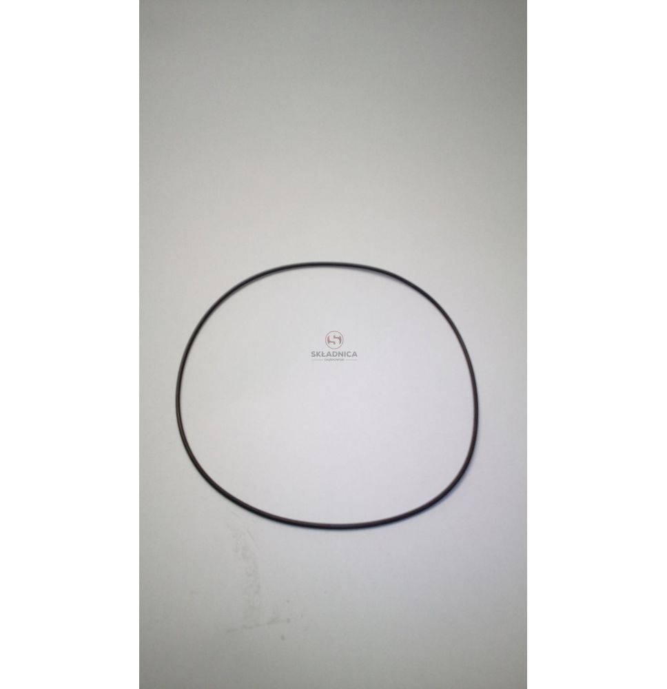 ORING  125.00 * 2.00 [CYC050]