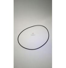 ORING  125.00 * 2.00 [CYC050-Z]