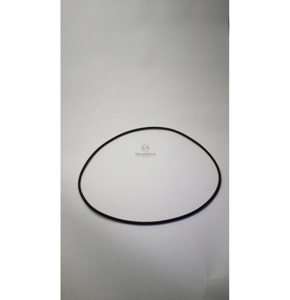 ORING  202.79 * 3.53 [CYC052]