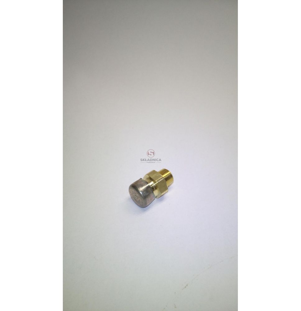 ODPOWIETRZNIK M10*1 PRZEDNIEGO MOSTU [CYC085]