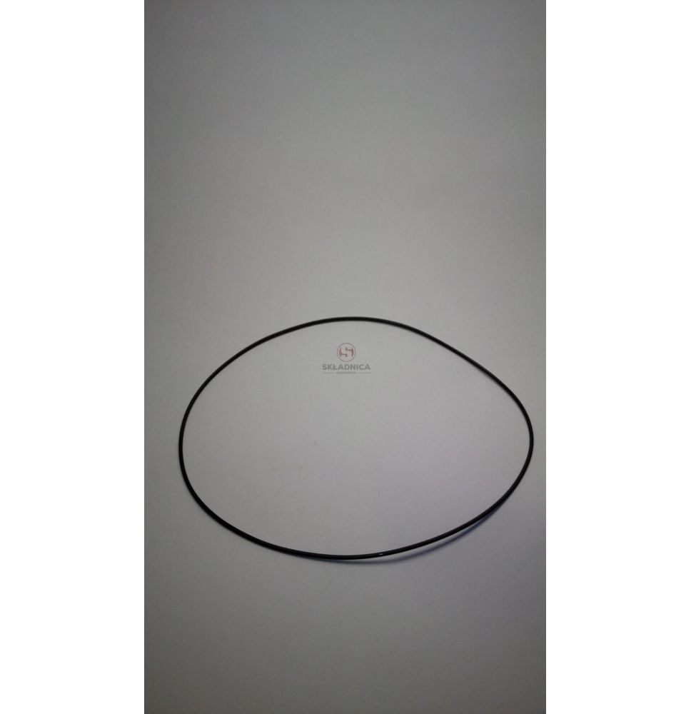 ORING  215.57 * 2.62 [CYC482]