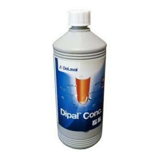 DIPAL KONCENTRAT 1 L [DC414]