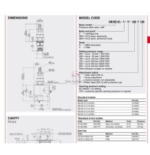 ZAWÓR PRZELEWOWY DB10P-01-C-N-330V [HA136]
