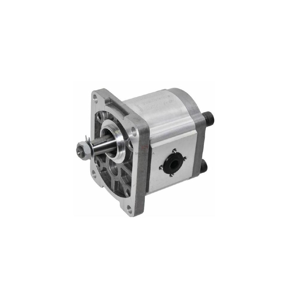 POMPA GOPART GP2025D4030C18EGP [HP07-100-G]
