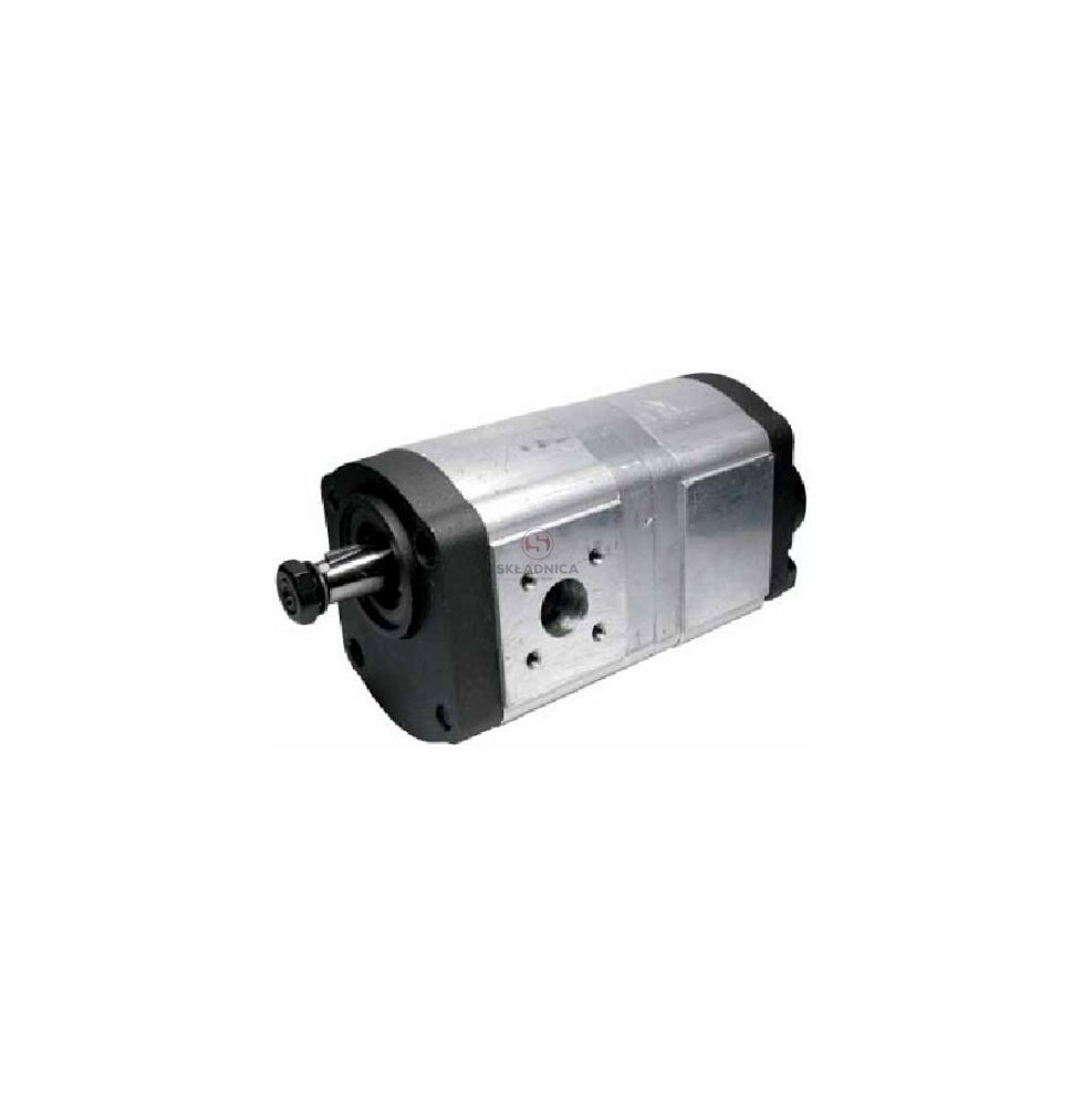 POMPA REX 0510565395 [HP09-007-R]