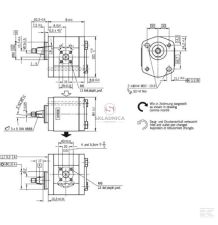 POMPA REX 0510615317 [HP09-062-R]