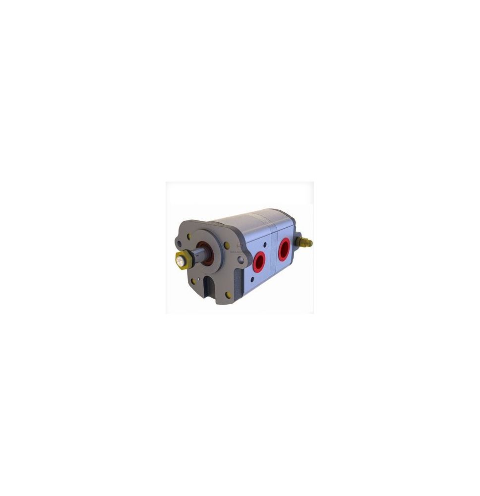 POMPA HYD.  FI-52.34  2SAE   L [HP13-202-HE]