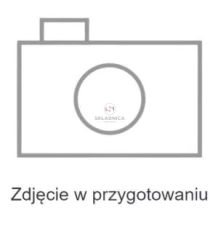 LISTWA PODAJNIKA POCHYŁEGO NEW HOLLAND [KCH105]