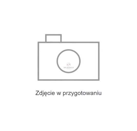 LISTWA PODAJNIKA POCHYŁEGO NEW HOLLAND [KCH105]