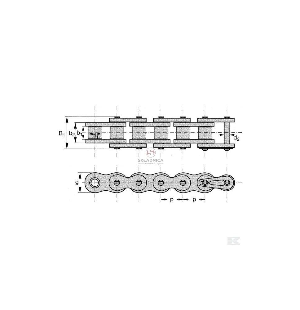 084-1 PÓŁSPINACZ [ŁG407]