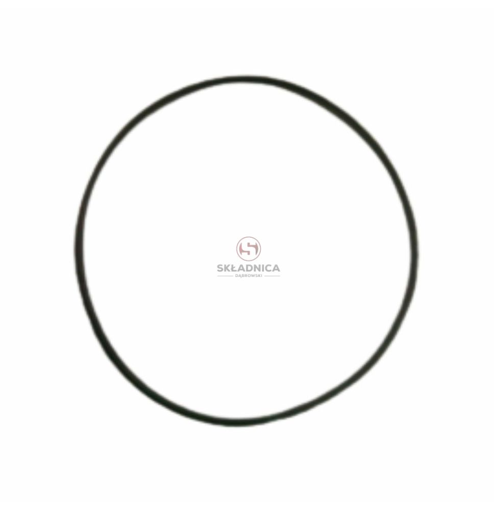 O-RING [MJM120]