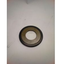 USZCZELNIACZ ZWROTNICY 31*66*4 TRUNION [MJM208-ZAM]