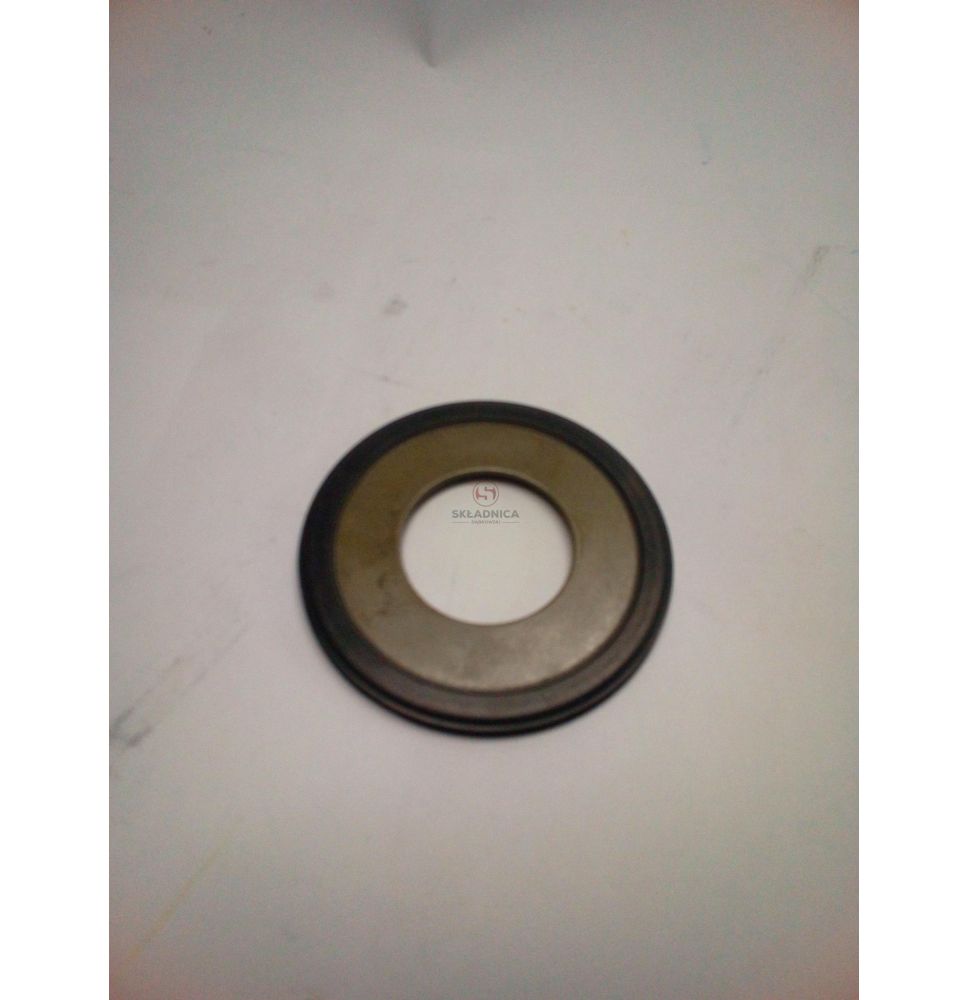 USZCZELNIACZ ZWROTNICY 31*66*4 TRUNION [MJM208-ZAM]