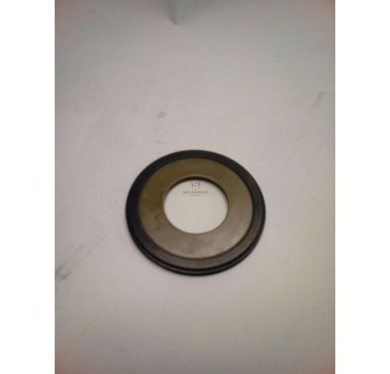 USZCZELNIACZ ZWROTNICY 31*66*4 TRUNION [MJM208-ZAM]