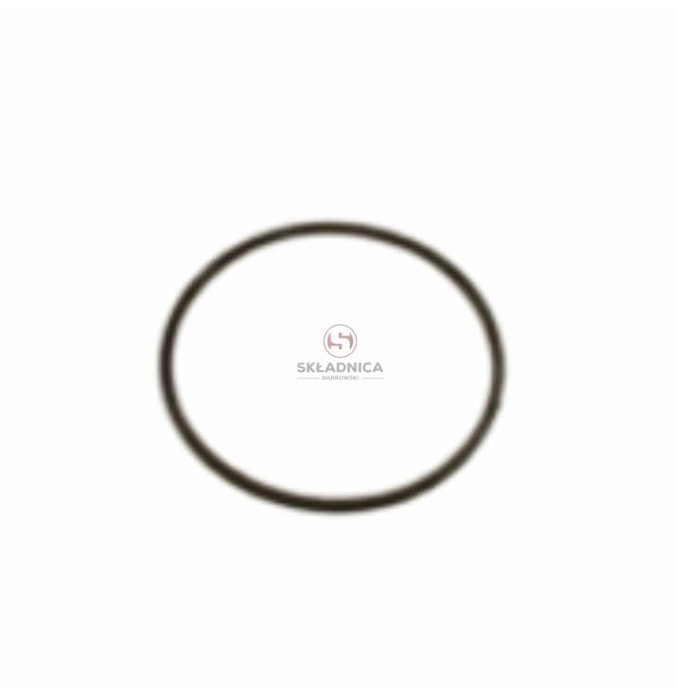 ORING   63.17 * 2.62 [MJN112]