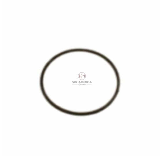 ORING   63.17 * 2.62 [MJN112]