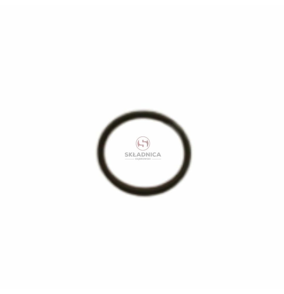 ORING 39.7*3.5 [MJN138-ORG]