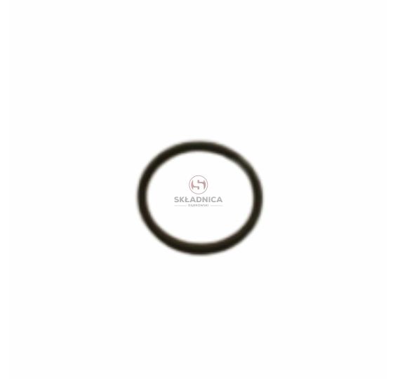 ORING 39.7*3.5 [MJN138-ORG]