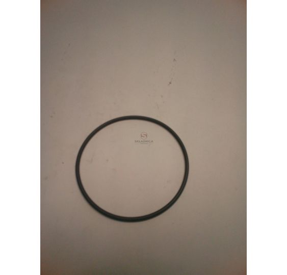 ORING [MJS161]