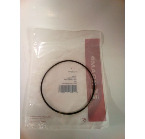 ORING  101.27 * 2.62 [OCC049]