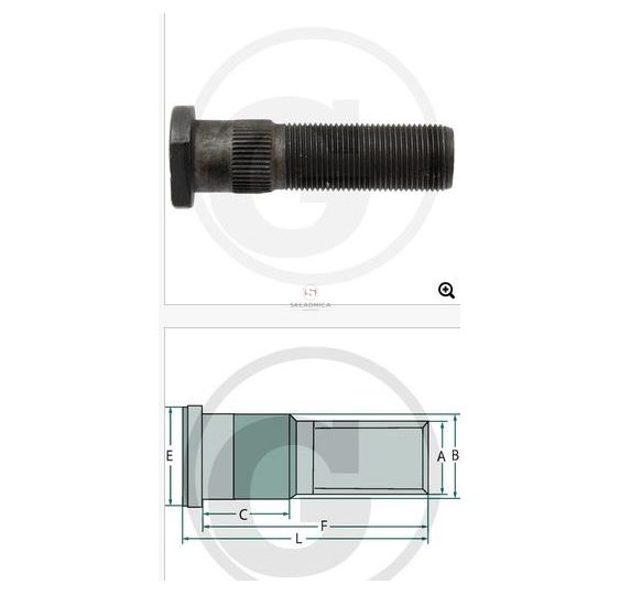 SZPILKA KOŁA 22022058 [PC074]