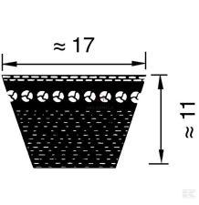 BX 929 PAS AP1000060 [PK09293-O1]