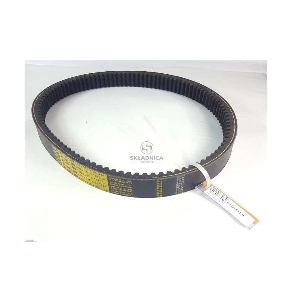 PAS SO 619146 [PK155841-P]