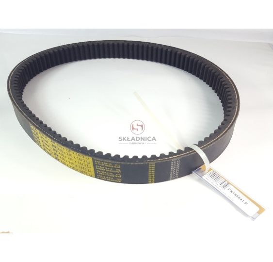 PAS SO 619146 [PK155841-P]