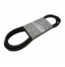 PAS KLINOWY A-01180553 [PK156618-P]