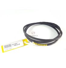Z-1900  PAS SANOK [PK19001]