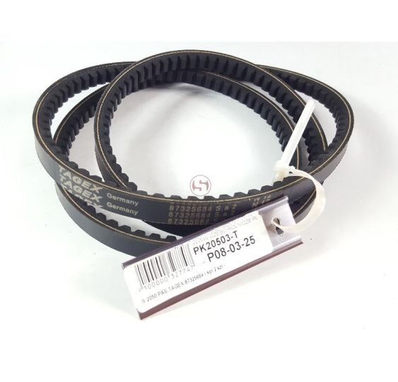 PAS TAGEX 87325684 [PK20503-T]