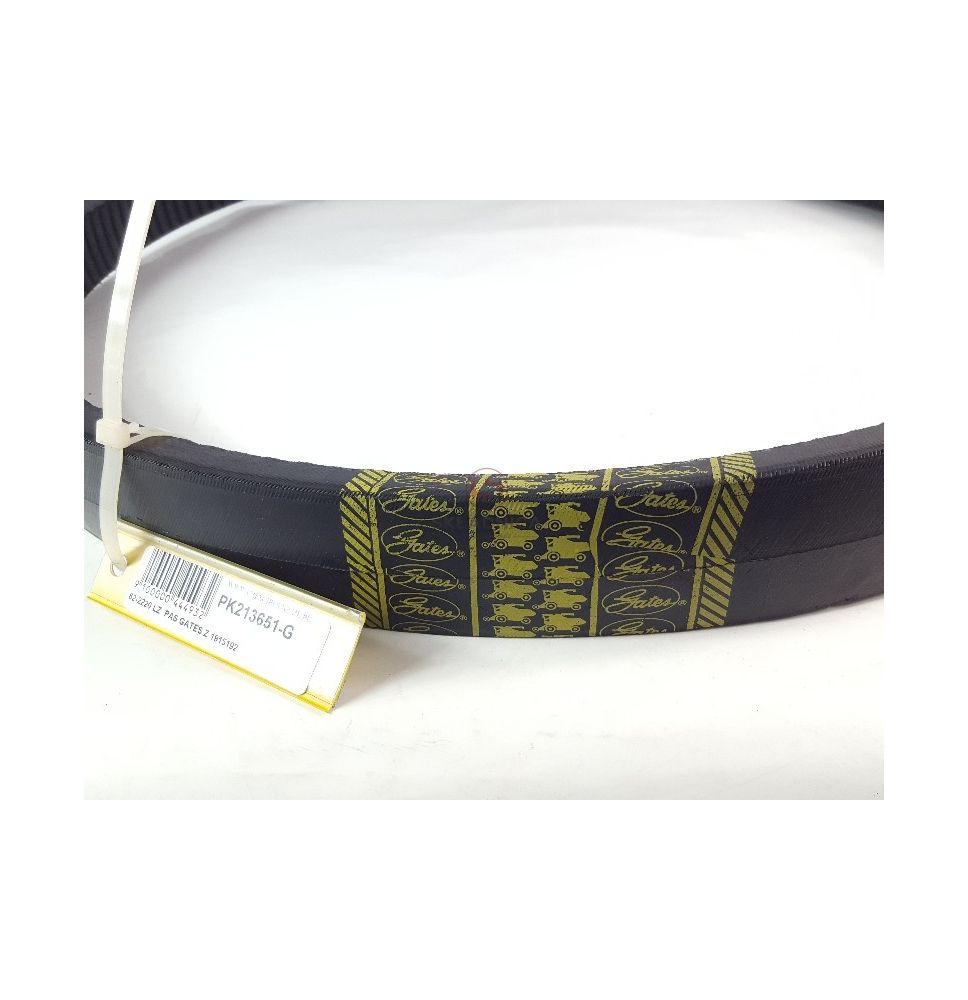 PAS GATES 1915192 [PK213651-G]