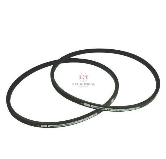 PAS OPTIBELT VB172200 [PK22403-O]