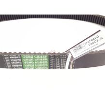 PAS OPTIBELT AP1001209 [PK224041-O]