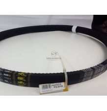 PAS GATES 0213198 [PK231041-G]