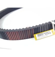 60-2420 LZ   PAS KLINOWY   VARI  2*ZEBAT [PK237051-R]