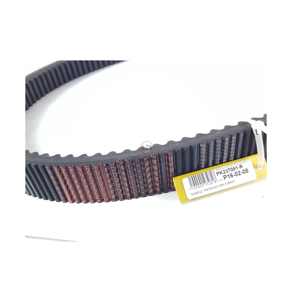 60-2420 LZ   PAS KLINOWY   VARI  2*ZEBAT [PK237051-R]