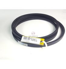 PAS TAGEX 667957 [PK27604-T1]