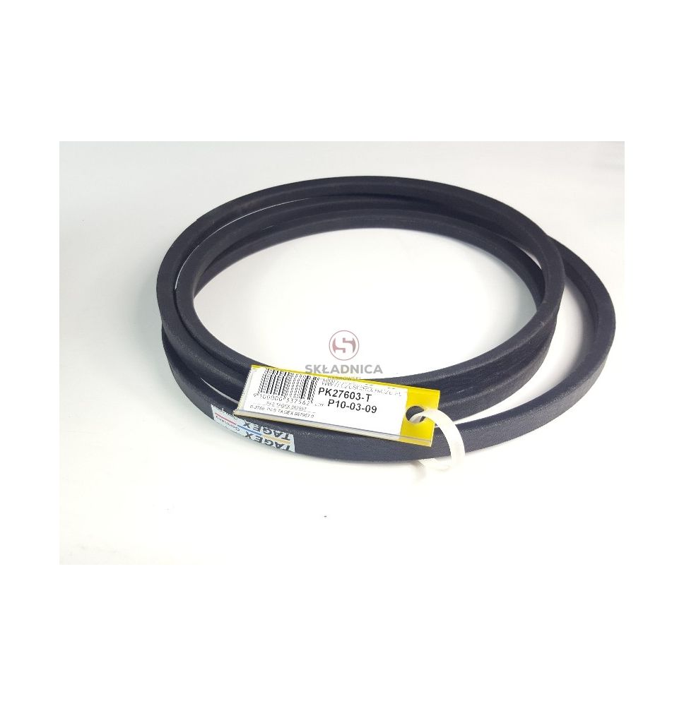 PAS TAGEX 667957 [PK27604-T1]