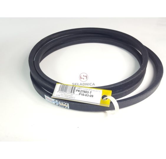 PAS TAGEX 667957 [PK27604-T1]