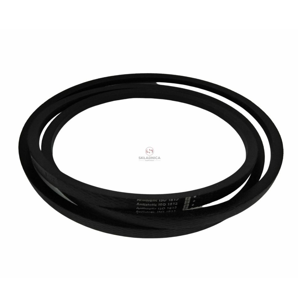 PAS OPTIBELT VB172845 [PK29003-O1]
