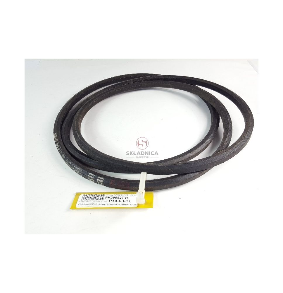 HBB-2946  PAS KLINOWY [PK299527-R]
