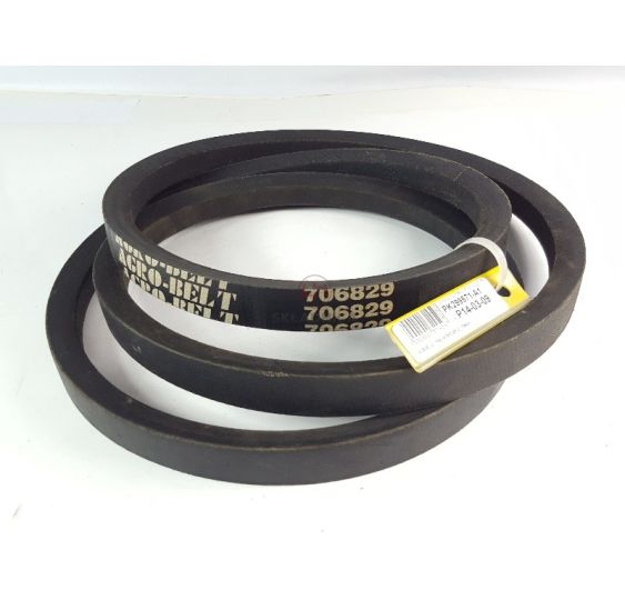 PAS AGROBELT 706829 [PK299571-A1]