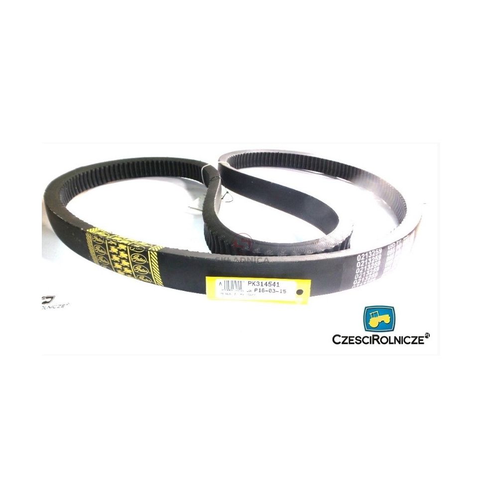 PAS GATES 0213259 [PK314541-G]