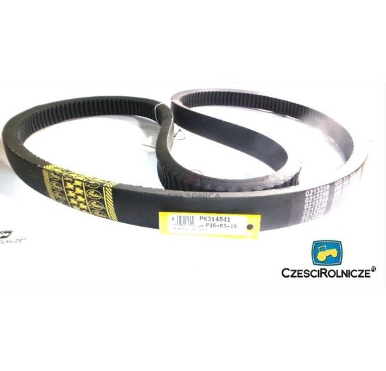 PAS GATES 0213259 [PK314541-G]